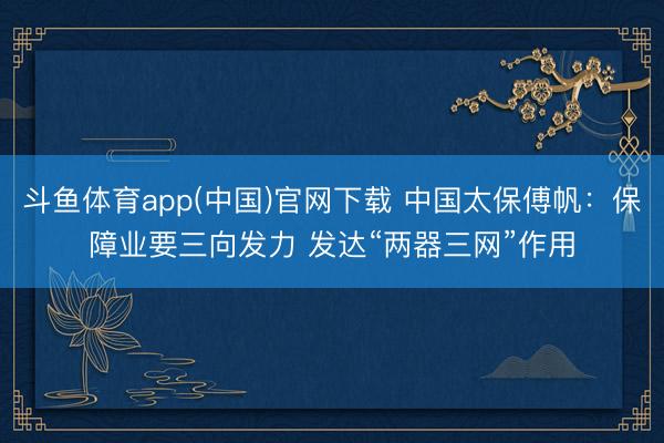 斗鱼体育app(中国)官网下载 中国太保傅帆：保障业要三向发力 发达“两器三网”作用