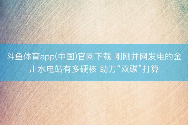 斗鱼体育app(中国)官网下载 刚刚并网发电的金川水电站有多硬核 助力“双碳”打算