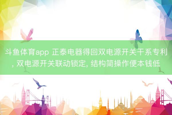 斗鱼体育app 正泰电器得回双电源开关干系专利， 双电源开关联动锁定， 结构简操作便本钱低