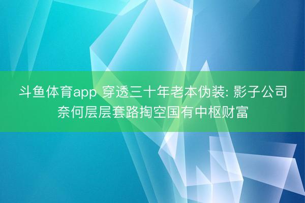 斗鱼体育app 穿透三十年老本伪装: 影子公司奈何层层套路掏空国有中枢财富