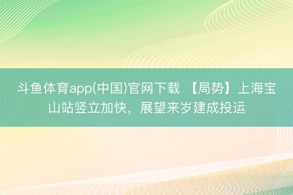 斗鱼体育app(中国)官网下载 【局势】上海宝山站竖立加快，展望来岁建成投运
