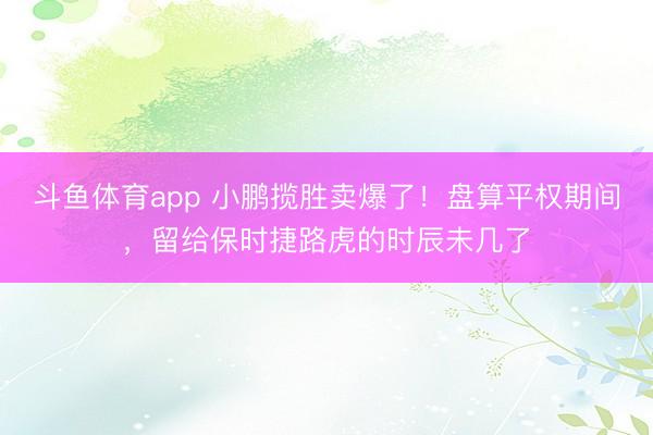 斗鱼体育app 小鹏揽胜卖爆了！盘算平权期间，留给保时捷路虎的时辰未几了