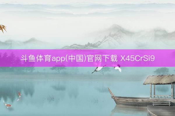 斗鱼体育app(中国)官网下载 X45CrSi9