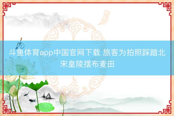斗鱼体育app中国官网下载 旅客为拍照踩踏北宋皇陵摆布麦田