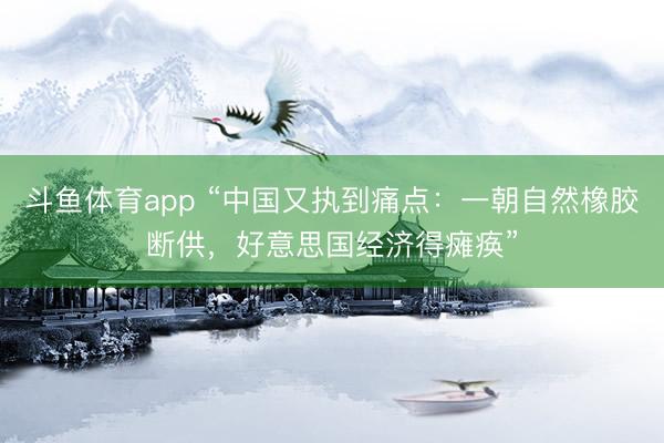 斗鱼体育app “中国又执到痛点：一朝自然橡胶断供，好意思国经济得瘫痪”